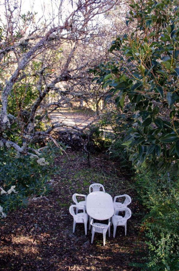 マンテイガス Casa Da Sicoゲストハウス エクステリア 写真